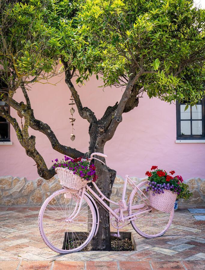 Quinta Aida Cottage And B&B Suites Lagoa  Exterior photo